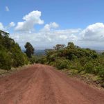 Road in Bale Mountains National Park Ethiopia